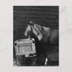 Pausenzeit Postkarte