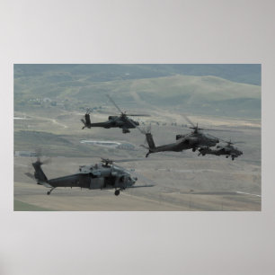 Pave Hawks und Apaches Poster