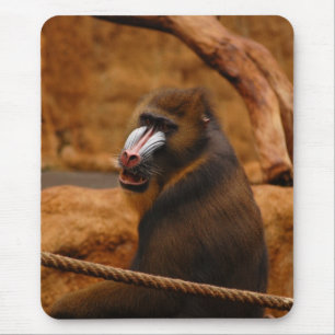 Pavian/Baboon Mousepad
