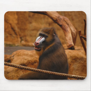 Pavian/Baboon Mousepad