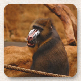 Pavian/Baboon Untersetzer