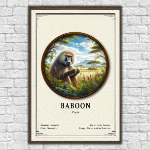 Pavian Zoologie Serie Poster
