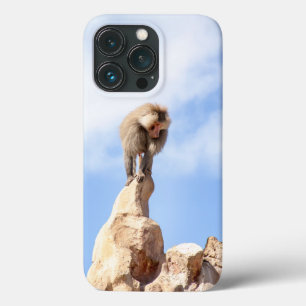 Pavianaffe auf einem Berggipfel Case-Mate iPhone Hülle