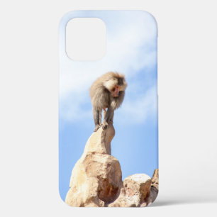 Pavianaffe auf einem Berggipfel Case-Mate iPhone Hülle