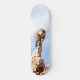 Pavianaffe auf einem Berggipfel Skateboard