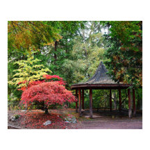 Pavillon japanischer Garten und Herbstblätter
