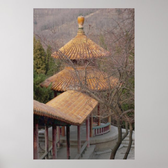 Pavillonposter Poster (Vorne)