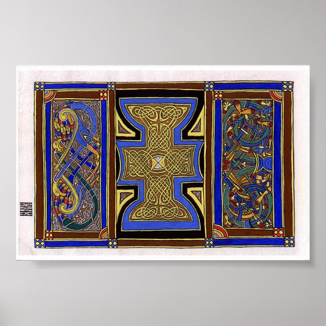 Pavo Floris Poster (Vorne)