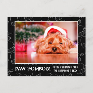 Paw Humbug Foto Schwarze Weihnachtsmannmütze Feiertagspostkarte