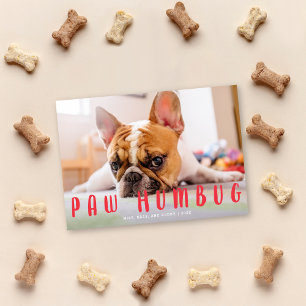 Paw Humbug Funny Niedlich Dog Katze Holiday Foto C Feiertagskarte