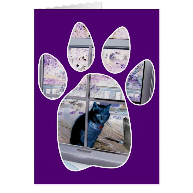 Paw Print (Vorne)