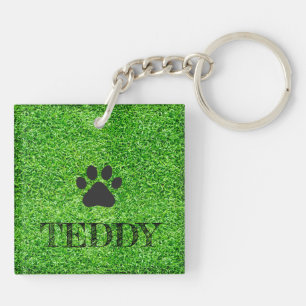 Paw Print PET NAME Grass Dog Cat Sitter Spaß Schlüsselanhänger