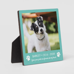 Paw Prints Dog Memorial Foto Fotoplatte