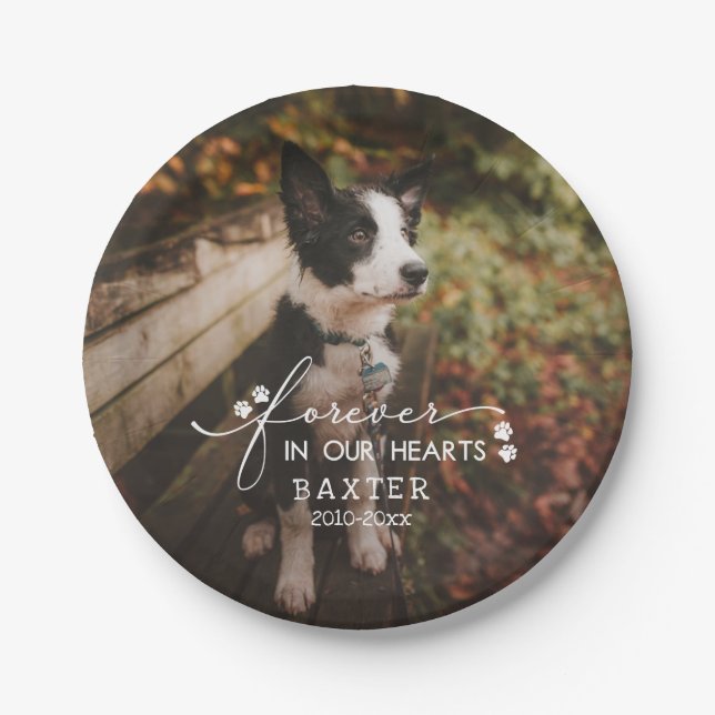 Paw Prints für immer in unserem Herz Pet Foto Pappteller (Vorderseite)