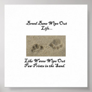 Paw Prints im Sand Poster