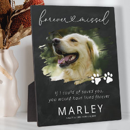 Paw Prints Keepake Pet Memorial Foto Plaque Fotoplatte