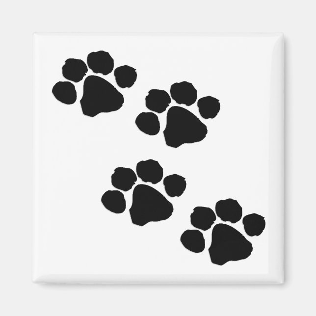 Paw Prints Magnet (Vorne)