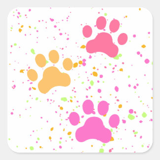 Paw Prints, Pinks Gelbe Splashes_Fun Stickers