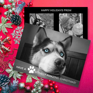 Paw-sitiver Weihnachtsgruß mit individuellem Hunde Folien Feiertagskarte