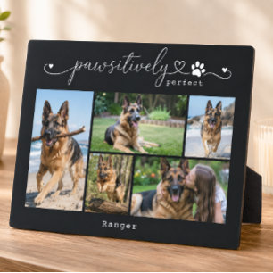 Pawfekt schwarzes Andenken mit fünf Fotos Fotoplatte
