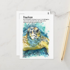 Pawikan/ Philippine Turtle- DNM Postkarten