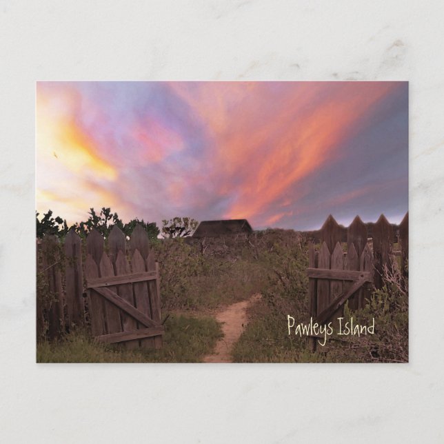 Pawley Island Sunset Postcard Postkarte (Vorderseite)