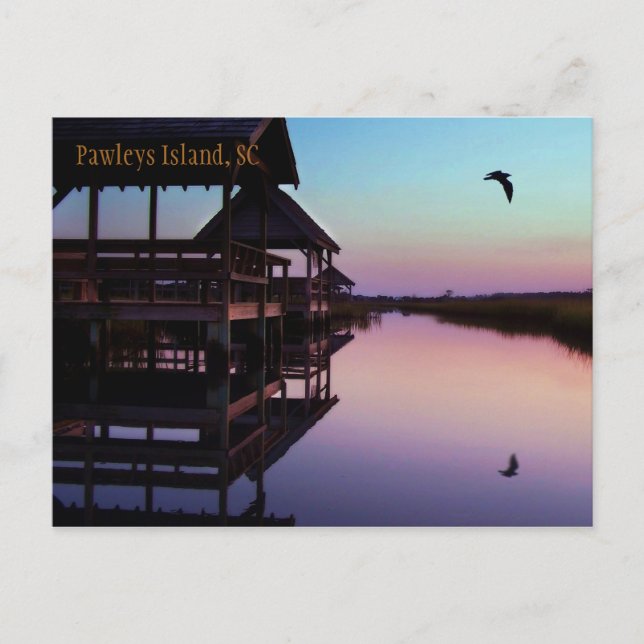 Pawleys Island Souvenir Postcard Postkarte (Vorderseite)
