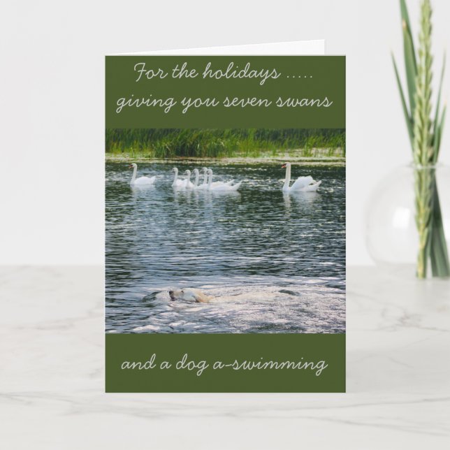 Paws and Feathers Holiday Card Feiertagskarte (Vorderseite)