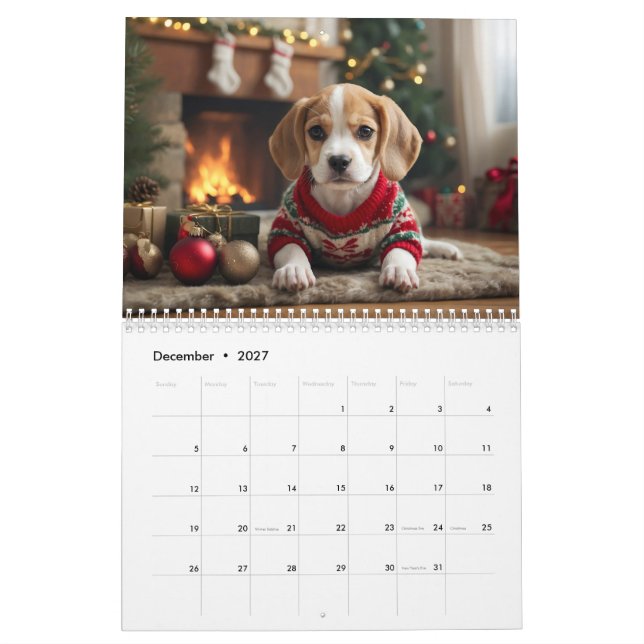 Paws and Playfulness: Welpenkalender 2024 Kalender (Dez 2027)