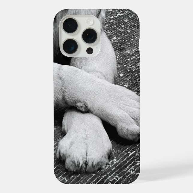 Paws iPhone Hülle (Rückseite)