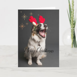 Paws & Joy: Ansprechende Hund "Frohe Weihnachten" Feiertagskarte