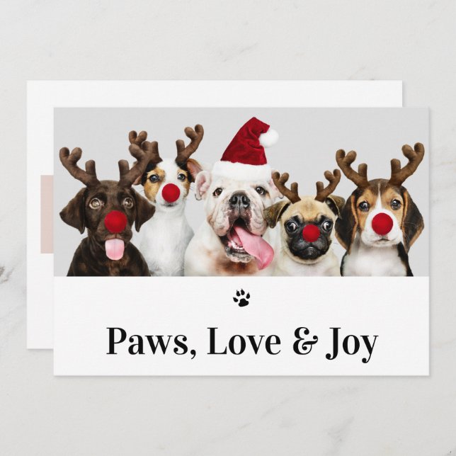 Paws Liebe und Jog Hund Weihnachten 5 Fotokarte Einladung (Vorne/Hinten)