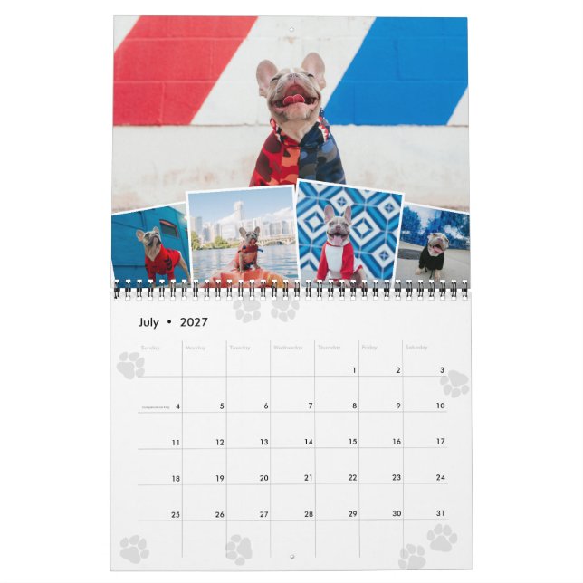 Paws Monatliche Foto Collage Pet Fotos Kalender (Jul 2027)