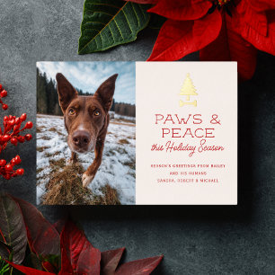 Paws Peace Weihnachts-Foto Hund Haustier Weihnacht Folien Feiertagskarte