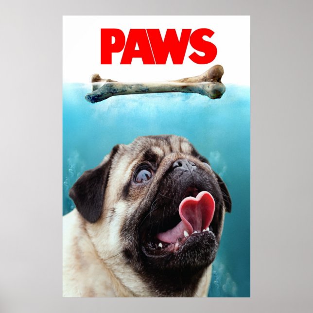 PAWS POSTER (Vorne)