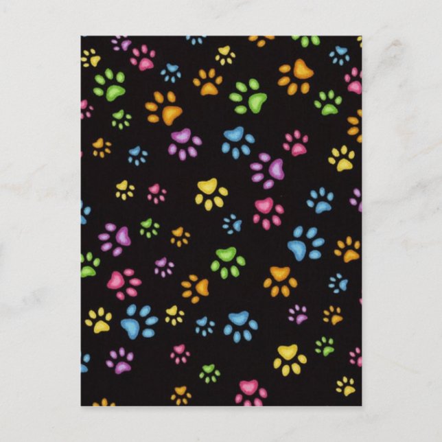 Paws Postkarte (Vorderseite)