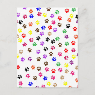 Paws Postkarte