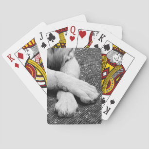 Paws Spielkarten