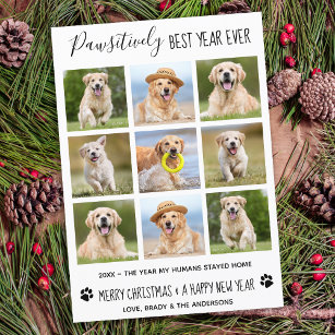 Pawsitiv Bestes Jahr je Hund Haustier Foto Collage Feiertagskarte