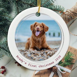 Pawsitiv Covid Quarantine Red Dog Pet Foto Keramik Ornament