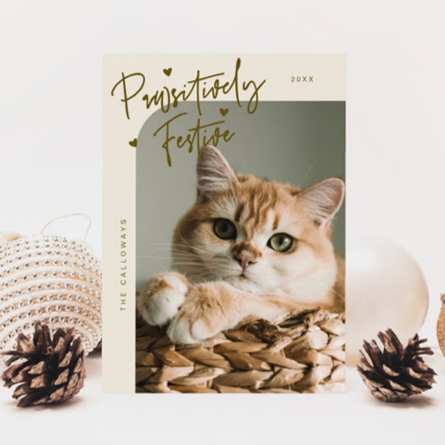 Pawsitiv festes Cat Foto Creme Weihnachten (Von Creator hochgeladen)