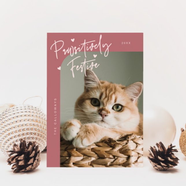 Pawsitiv festes Cat Foto Rosa Weihnachten (Von Creator hochgeladen)