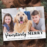 Pawsitiv fröhliches, modernes, individuelles Foto  Postkarte<br><div class="desc">Mit unserer neuen Reihe von Urlaubskarten, die sich perfekt für Familien mit furiosen Freunden eignen! Unsere Kollektion "Pawsitive Merry" bietet eine Vielfalt an lustigen und festlichen Designs, die Ihre geliebten Haustiere niedlich und spielerisch präsentieren. Ob Hund oder Katze, Sie können aus einer Auswahl an modernen, lustigen, Retro-, kühlen und stilvollen...</div>