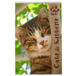 Pawsitiv Katzen und Kätzchen 2021 Kalender