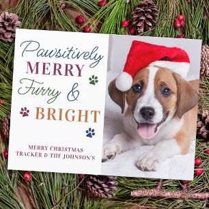 Pawsitiv Merry Custom Pet Foto Furry & Bright Feiertagspostkarte