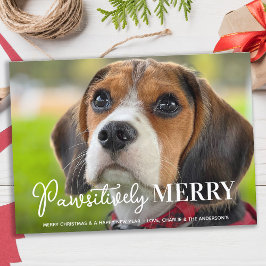 Pawsitiv Merry Custom Pet Hund Foto Weihnachten