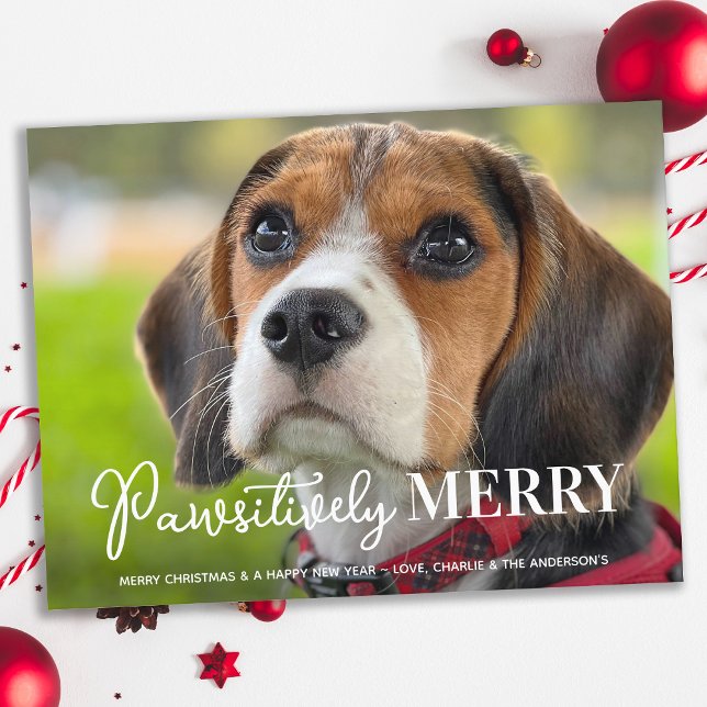 Pawsitiv Merry Custom Pet Hund Foto Weihnachten (Von Creator hochgeladen)