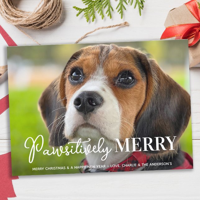 Pawsitiv Merry Custom Pet Hund Foto Weihnachten (Von Creator hochgeladen)