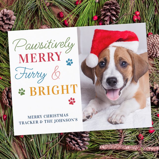Pawsitiv Merry Furry & Bright Custom Pet Foto Postkarte (Von Creator hochgeladen)