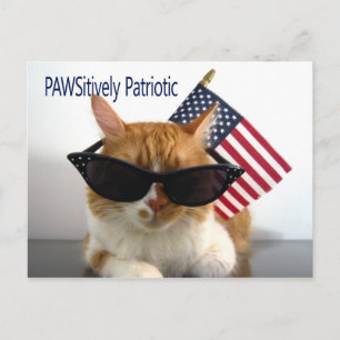 PAWSitiv patriotische Katzenpostkarte Postkarte